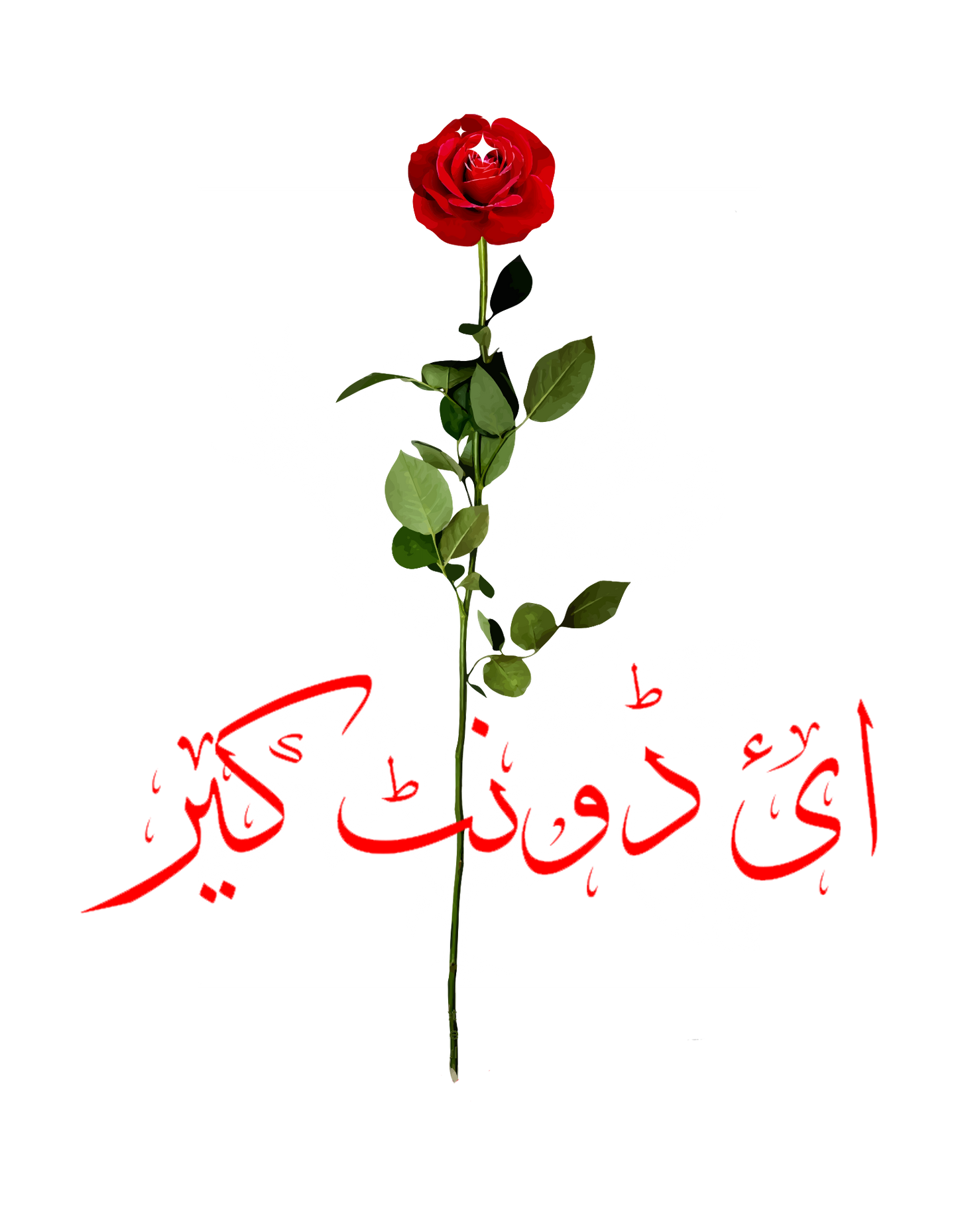 I don't care Print T-Shirt