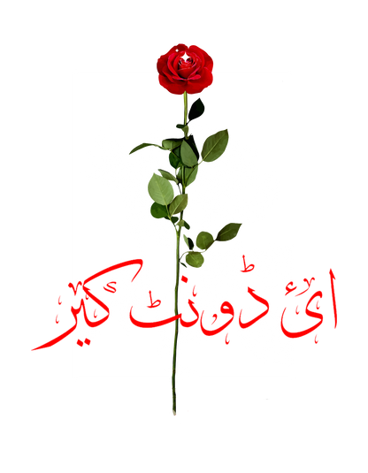 I don't care Print T-Shirt